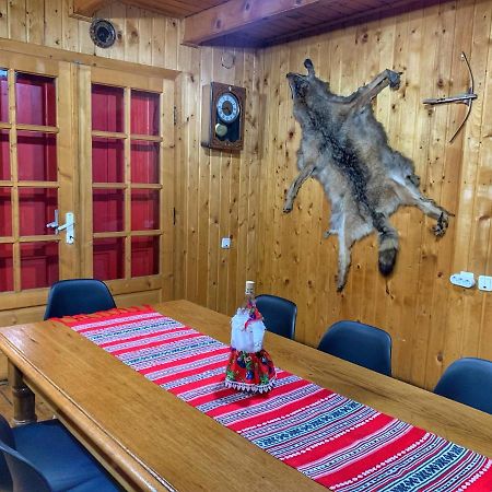 Cabana Sabrina Villa Bran  Buitenkant foto