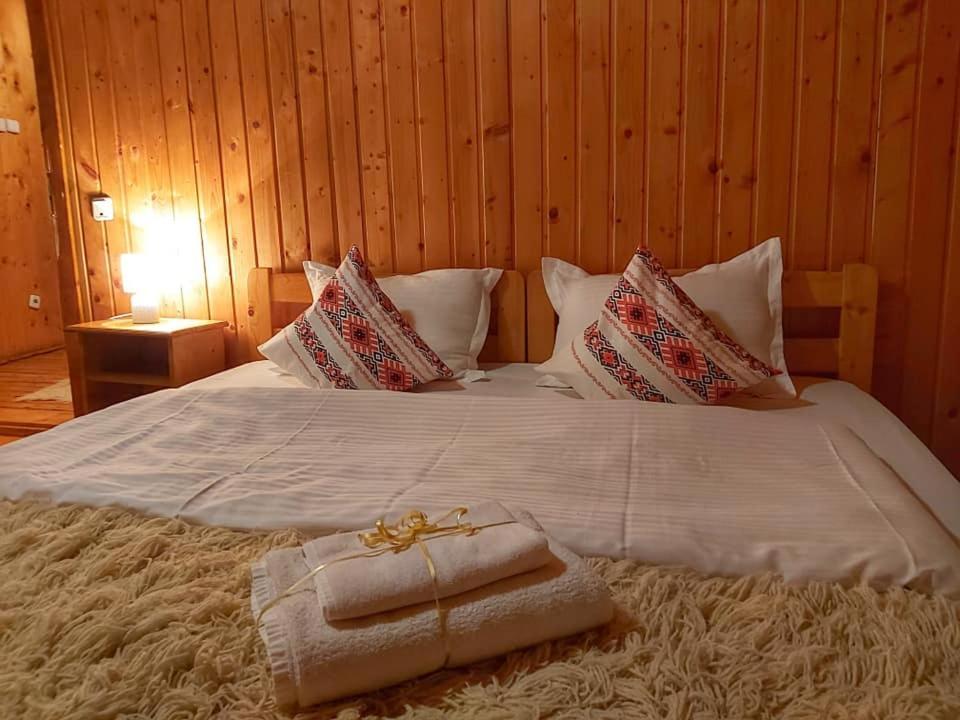 Cabana Sabrina Villa Bran  Buitenkant foto