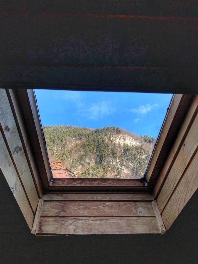 Cabana Sabrina Villa Bran  Buitenkant foto