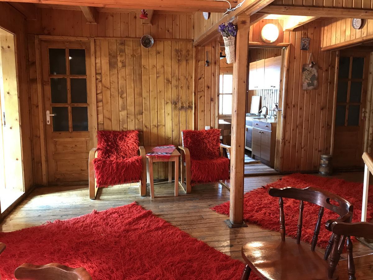 Cabana Sabrina Villa Bran  Buitenkant foto