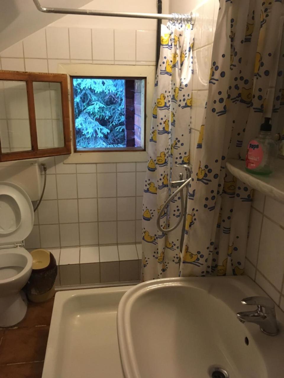 Cabana Sabrina Villa Bran  Buitenkant foto