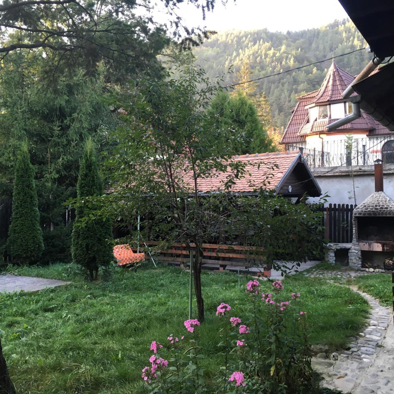 Cabana Sabrina Villa Bran  Buitenkant foto