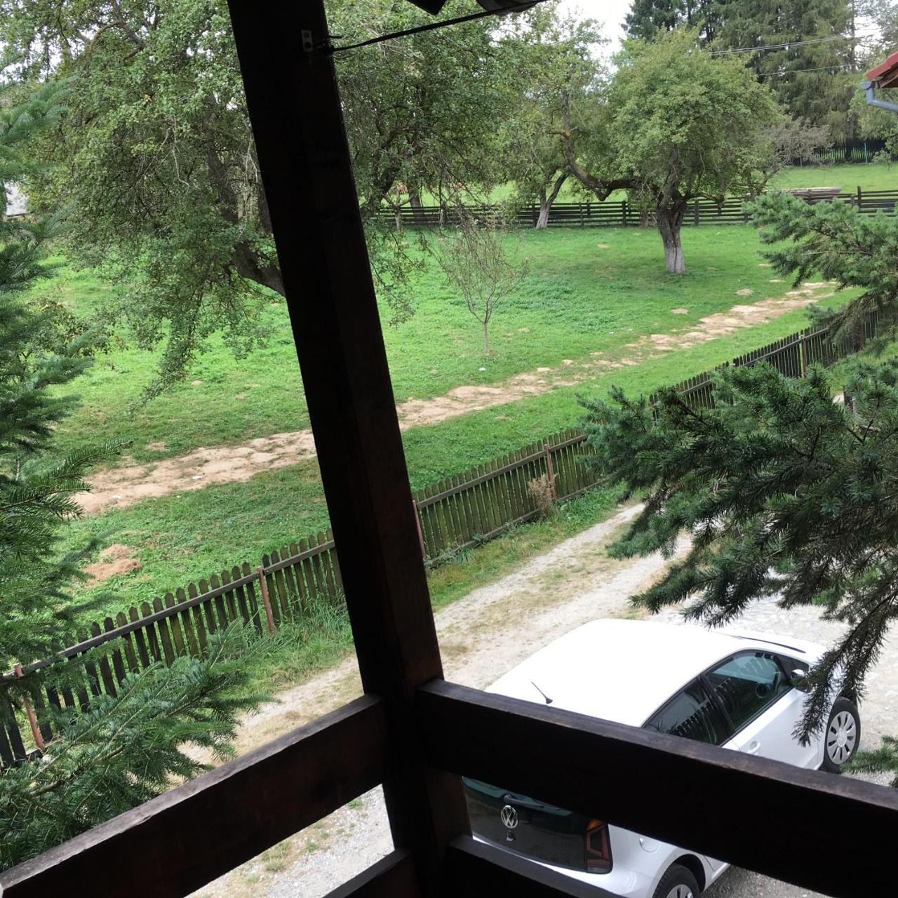 Cabana Sabrina Villa Bran  Buitenkant foto