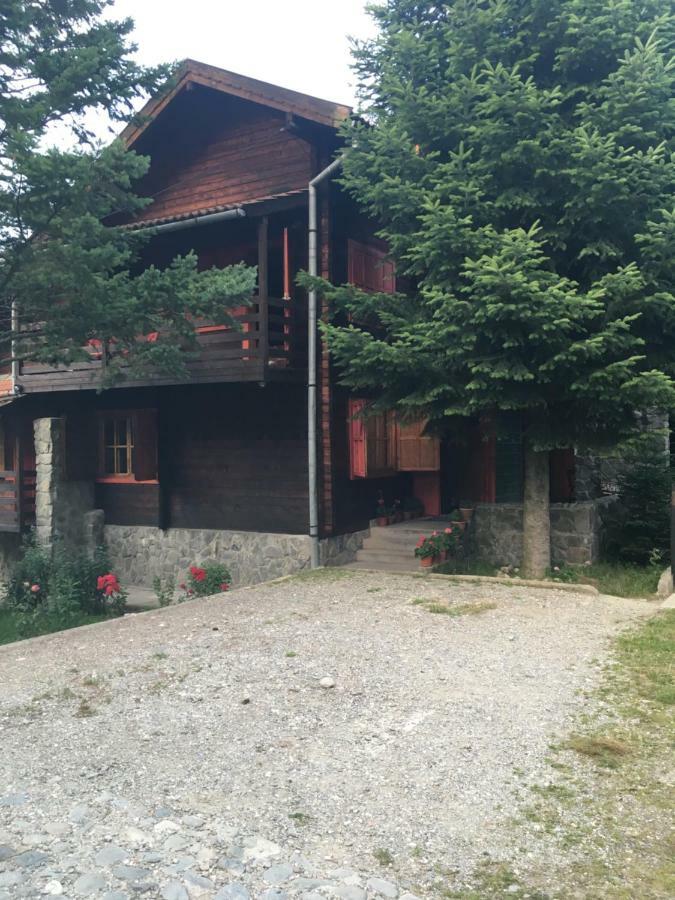 Cabana Sabrina Villa Bran  Buitenkant foto